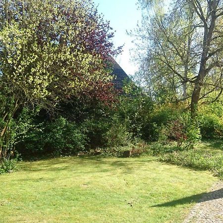 Sonniges Haeuschen Mit Garten 布伦瑞克 外观 照片