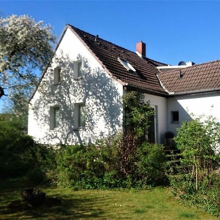 Sonniges Haeuschen Mit Garten 布伦瑞克 外观 照片