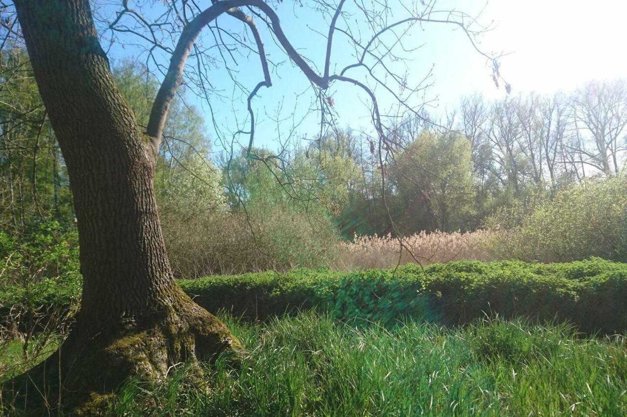 Sonniges Haeuschen Mit Garten 布伦瑞克 外观 照片