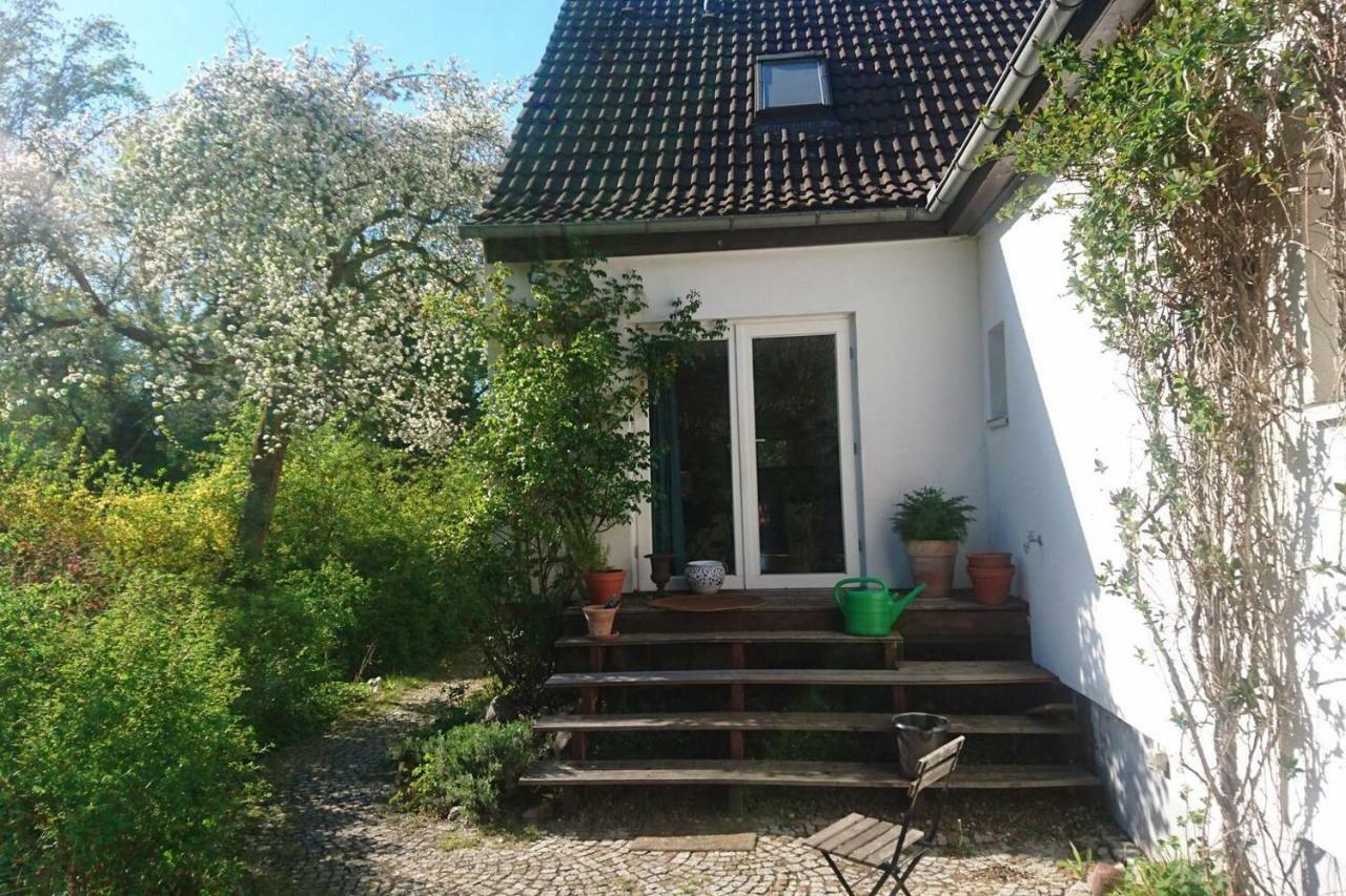 Sonniges Haeuschen Mit Garten 布伦瑞克 外观 照片